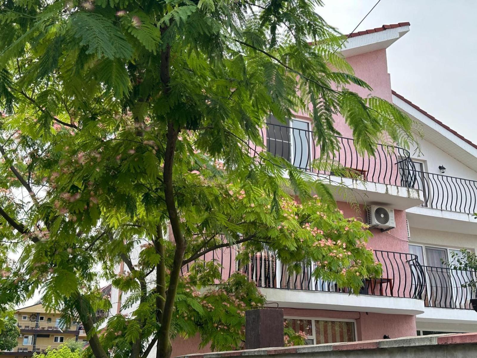 Готель Vila Lucy Костінешть Екстер'єр фото